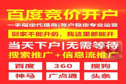 某电商平台的SEM策略与效果展示